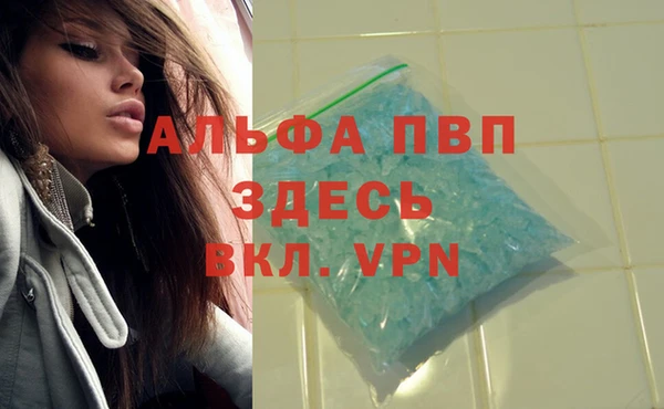 стаф Алексин