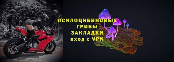 стаф Алексин