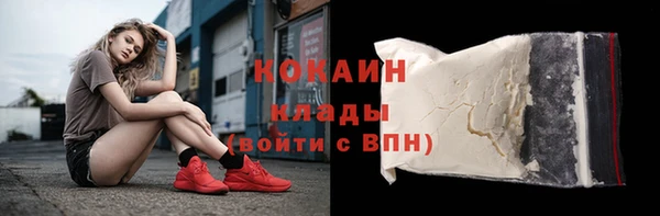 стаф Алексин