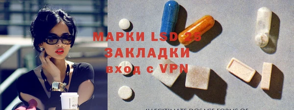 стаф Алексин