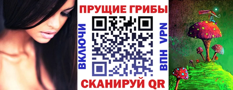 KRAKEN зеркало  Ардон  Галлюциногенные грибы мицелий 